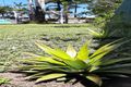 Property photo of 44 Eliza Street Kelso QLD 4815