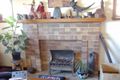 Property photo of 19 Bray Avenue Earlwood NSW 2206