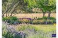 Property photo of 32 Tallawong Lane Armidale NSW 2350