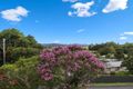 Property photo of 17 Scott Street South Murwillumbah NSW 2484