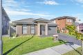 Property photo of 44 Healy Avenue Gregory Hills NSW 2557