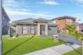 Property photo of 44 Healy Avenue Gregory Hills NSW 2557