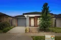 Property photo of 34 Papas View Wyndham Vale VIC 3024