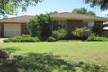 Property photo of 16 Davidson Drive Dubbo NSW 2830