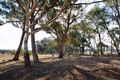 Property photo of 157 Three Chain Road Walmer VIC 3463