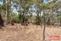 Property photo of 42 South Terrace Williamstown SA 5351