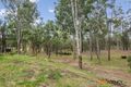 Property photo of 157 Retreat Road Wattle Ponds NSW 2330