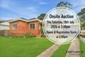 Property photo of 11 Caldwell Place Blacktown NSW 2148
