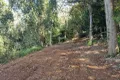 Property photo of 107 Lyrebird Ridge Road Springbrook QLD 4213