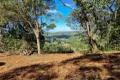 Property photo of 107 Lyrebird Ridge Road Springbrook QLD 4213