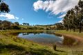 Property photo of 74 Mahar Road Cherry Gardens SA 5157