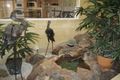 Property photo of 3 Breadsall Close Carine WA 6020