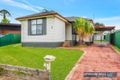 Property photo of 3 Amadio Place Mount Pritchard NSW 2170