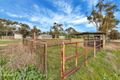 Property photo of 40 Gartrell Street Roseworthy SA 5371