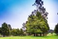 Property photo of 10 Beech Forest-Lavers Hill Road Beech Forest VIC 3237