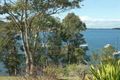 Property photo of 40 Wrexham Circlet Buttaba NSW 2283