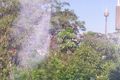 Property photo of 4/3 Grantham Street Potts Point NSW 2011