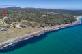 Property photo of 613 White Beach Road White Beach TAS 7184