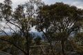 Property photo of 5 Hatherly Grove Ferntree Gully VIC 3156