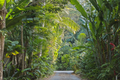 Property photo of 55 Lilli Pilli Drive Byron Bay NSW 2481