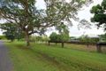 Property photo of 9 Hinchliffe Avenue Bouldercombe QLD 4702