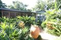 Property photo of 12 Mazlin Street Edge Hill QLD 4870