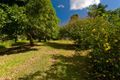 Property photo of 10 Tom Latimer Court Worongary QLD 4213