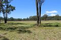 Property photo of 812 Sandy Creek Road Quorrobolong NSW 2325