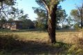 Property photo of 87 Windsor Road Norwest NSW 2153