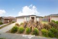 Property photo of 11 Rimfire Avenue Drouin VIC 3818