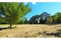 Property photo of 11 Redwood Road Doonan QLD 4562