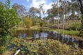 Property photo of 141 River Pines Drive Delan QLD 4671