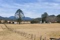 Property photo of 3864 Armidale Road Nymboida NSW 2460