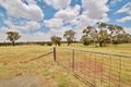 Property photo of 45 McGee Place Murringo NSW 2586
