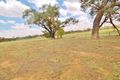 Property photo of 45 McGee Place Murringo NSW 2586