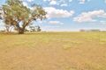 Property photo of 45 McGee Place Murringo NSW 2586