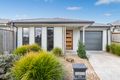 Property photo of 55 Troups Creek Promenade Narre Warren VIC 3805