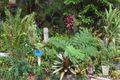 Property photo of 8 Calmwaters Crescent Macleay Island QLD 4184