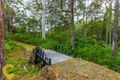 Property photo of 52 Coulter Road Willow Vale QLD 4209