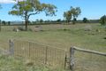 Property photo of 141 Allan Cunningham Road Scone NSW 2337