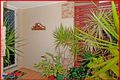 Property photo of 5 Cloverbrook Place Bracken Ridge QLD 4017