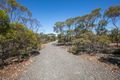 Property photo of LOT 102 Green Road Ettrick SA 5253