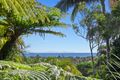 Property photo of 89 Massinger Street Byron Bay NSW 2481