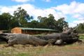 Property photo of 18 Strawberry Hill Drive Gidgegannup WA 6083