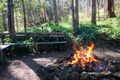 Property photo of 139 Wappa Falls Road Yandina QLD 4561