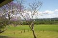 Property photo of 534 Waterfall Way Fernmount NSW 2454