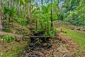 Property photo of 117 Taylors Road Buderim QLD 4556