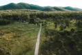 Property photo of 257 Murphy Road Captain Creek QLD 4677
