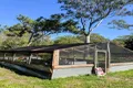 Property photo of 257 Murphy Road Captain Creek QLD 4677