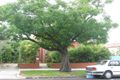 Property photo of 7/8 Walnut Street Carnegie VIC 3163